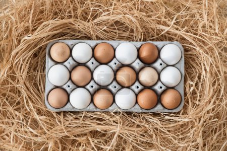 Téléchargez les photos : Chicken eggs in a tray rotate. Easter background with white and brown eggs in carton box. Concept of Happy Easter holiday, top view - en image libre de droit