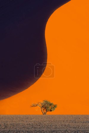 Namib Desert Safari with sand dune in Namibia, South Africa. Natural landscape background at sunset. Famous tourist attraction. Sand in Grand Canyon. Minimal photo.