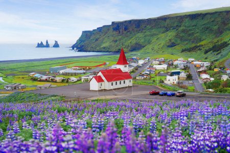 Foto de Iglesia de Reyniskirkja con flores de altramuz en la ciudad de Vik en la temporada de verano en Islandia. - Imagen libre de derechos