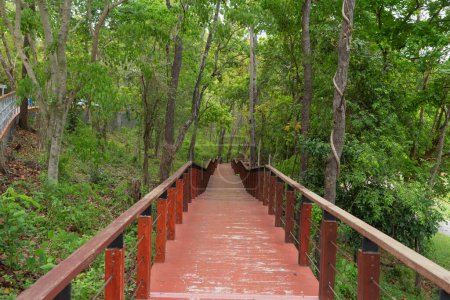 Téléchargez les photos : Pont du volcan Kradong avec des arbres forestiers à Buriram, Thaïlande. attraction touristique point de repère. Nature paysage fond - en image libre de droit