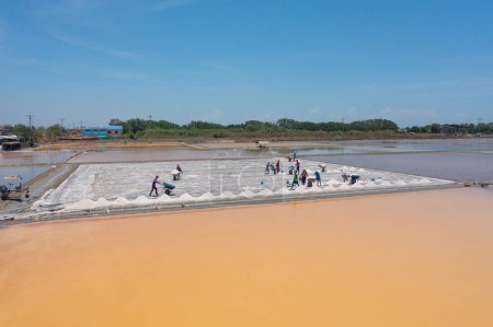 Téléchargez les photos : Vue aérienne du dessus des agriculteurs qui fabriquent des tas de sel marin brut avec la mer. Ferme en plein air. Matériel naturel dans l'industrie traditionnelle du sel en Thaïlande. La culture asiatique. Agriculture mode de vie - en image libre de droit