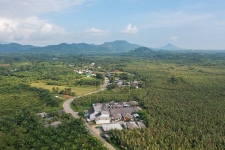 Foto de Vista aérea de Samet Nangshe, Phang Nga con ciudad, exuberantes árboles verdes desde arriba en el bosque tropical en el parque nacional en temporada de verano. Paisaje natural. Patrón textura fondo. - Imagen libre de derechos