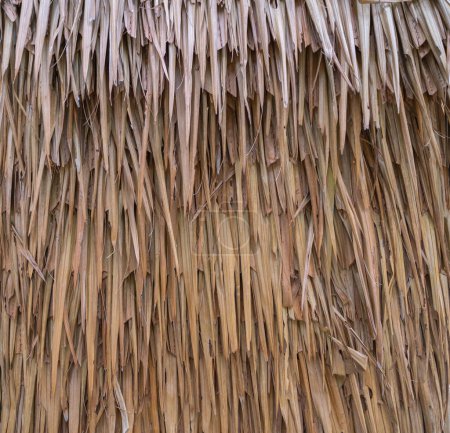 Foto de Un techo hecho de hojas secas de palma nipa. - Imagen libre de derechos