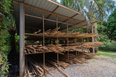 Foto de Postes de bambú madera de tronco. Tronco. Naturaleza - Imagen libre de derechos