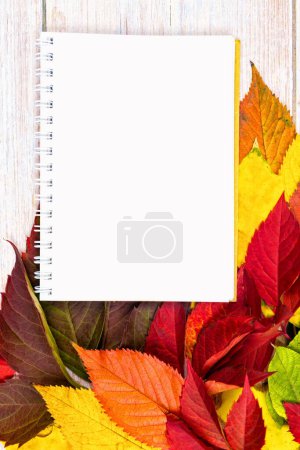 autumn background with white leaf for inscription. place for text. autumn mood.