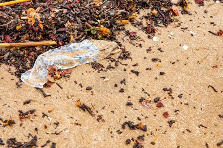 Müll am Strand, Kondom am Strand in Großaufnahme von oben. Ökologische Probleme.