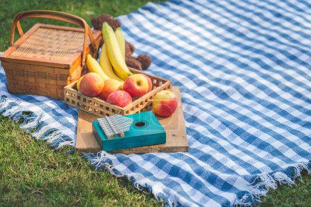 Foto de Kalimba con cesta de picnic de frutas y muñeca en tela azul en el jardín - Imagen libre de derechos