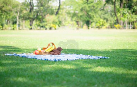 Photo for Picnic basket with fruit and doll on blue cloth in the green garden - Royalty Free Image