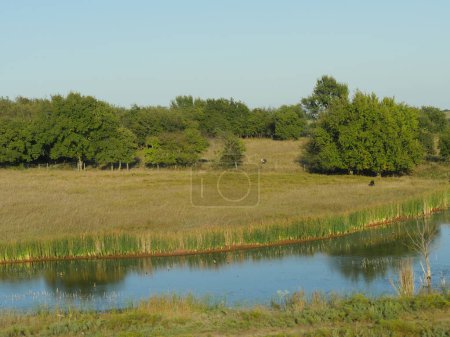 Photo for Calm pond along a grassy farm reflecting the trees in the distance - Royalty Free Image