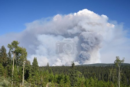 Foto de Wildfire. Humo de un incendio forestal se eleva en el cielo por encima del bosque - Imagen libre de derechos