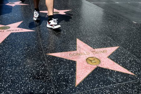 Photo for Los Angeles, California, USA - July 29, 2023: The Donald Trump star at the Hollywood Walk of Fame stars in Los Angeles. - Royalty Free Image