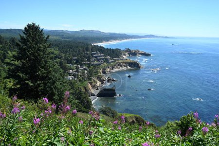 Foto de Oregon Coast es una región costera del estado de Oregon, Estados Unidos.. - Imagen libre de derechos