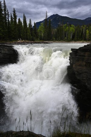 Téléchargez les photos : Athabasca Falls est une cascade dans le parc national Jasper, Alberta, Canada. - en image libre de droit