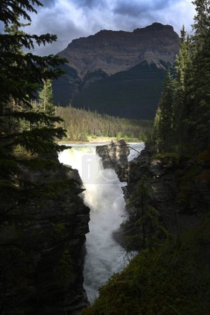 Téléchargez les photos : Athabasca Falls est une cascade dans le parc national Jasper, Alberta, Canada. - en image libre de droit