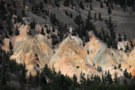 Foto de Paisaje de Canadá con montañas. Columbia Británica paisaje - Imagen libre de derechos