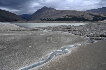 Photo for Columbia Icefield in the Banff National Park and Jasper National Park in Alberta, Canada. - Royalty Free Image