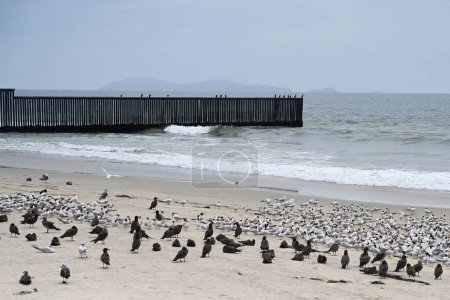 Foto de Una cerca en la frontera entre Estados Unidos y México donde se encuentra con el Océano Pacífico en Border Field State Park Beach - Imagen libre de derechos