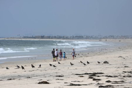 Photo for San Diego, CA, USA - July 30, 2023: People in Border Field State Park Beach in San Diego, California. - Royalty Free Image