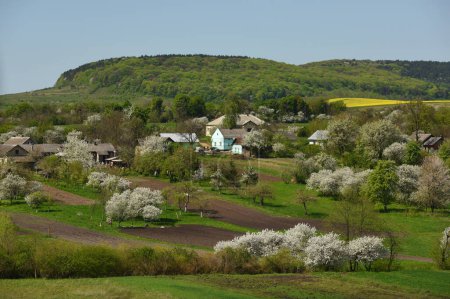 Photo for Spring rural landscape. Spring in the Ukrainian village - Royalty Free Image