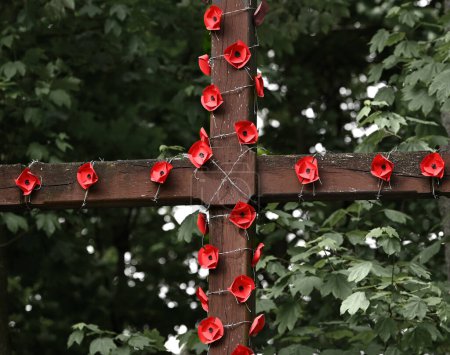 Téléchargez les photos : Une croix ornée de coquelicots rouges le jour du Souvenir. Jour du pavot. - en image libre de droit