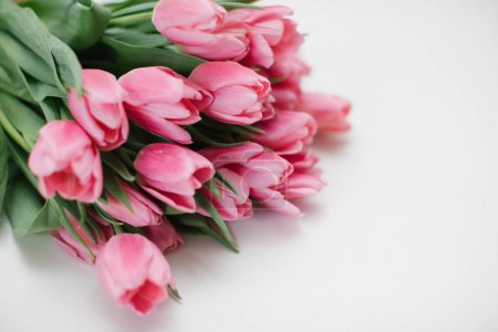 Foto de Ramo de tulipanes rosados sobre un fondo blanco. Copiar espacio. - Imagen libre de derechos