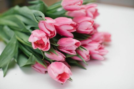 Téléchargez les photos : Bouquet de tulipes roses sur fond blanc. Espace de copie. - en image libre de droit