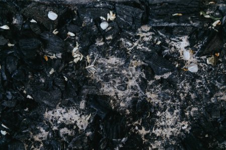 Téléchargez les photos : Contexte du charbon et des cendres. Charbon et cendres texture. - en image libre de droit