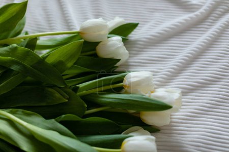 Foto de Un ramo de tulipanes blancos sobre una manta blanca. Ramo de tulipanes en la cama por la mañana. Vista superior. - Imagen libre de derechos