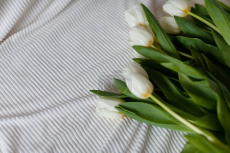 Photo for A bunch of white tulips on a white blanket. Bouquet of tulips on bed in the morning. Top view. - Royalty Free Image
