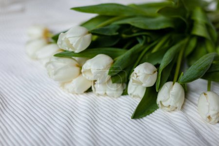 Foto de Un ramo de tulipanes blancos sobre una manta blanca. Ramo de tulipanes en la cama por la mañana. Vista superior. - Imagen libre de derechos