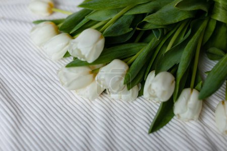 Photo for A bunch of white tulips on a white blanket. Bouquet of tulips on bed in the morning. Top view. - Royalty Free Image