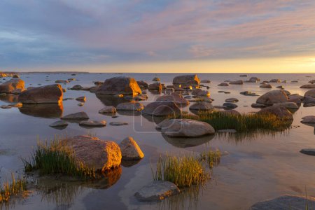Felsige Küste mit Steinen, die im Meerwasser versinken. Sonnenuntergang, oranges Licht, Estland.