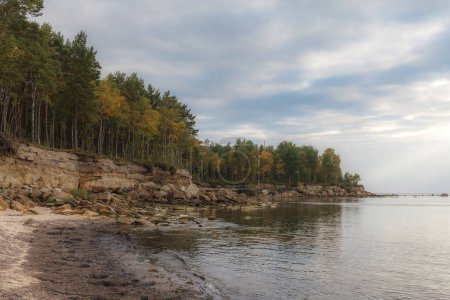 La côte de la mer Baltique avec forêt au sommet de la falaise, temps maussade