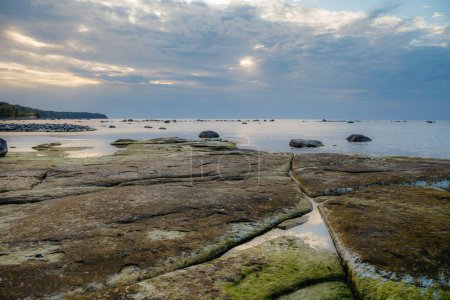 Foto de Belleza mar costa rocosa con musgo verde en las piedras. Hora azul. - Imagen libre de derechos