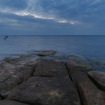 Beautiful sea shore view with with moss-covered rocks. Algae growing on seaside rocks. Blue hour time
