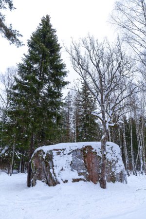 The king of Estonian boulders, Pahkla Suurkivi, Estonia. Winter season.