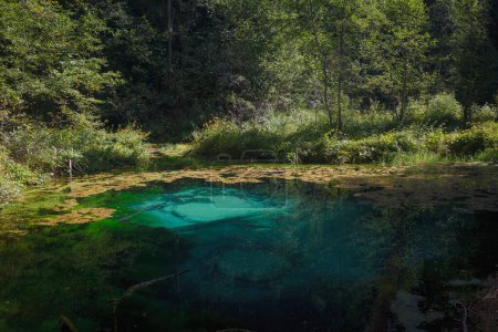 Saula kaltes reines Süßwasser blaue Quelle, Estland, Europa. Schönes Naturwunder im Wald am Wanderweg. Man glaubte, eine antike Opferstätte zu sein. Naturwunder. Siniallikad.