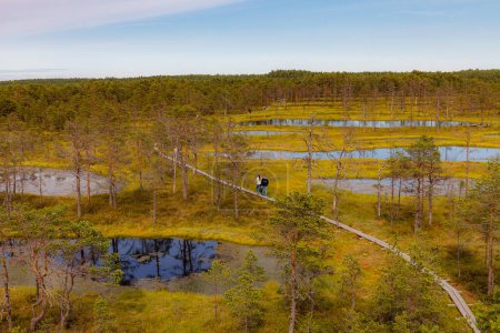 "Viru raba "pantano en Estonia, Parque Nacional de Lahemaa