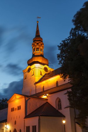 St Mary Cathedral también conocida como la iglesia de cúpula en Tallinn vieja en la noche
