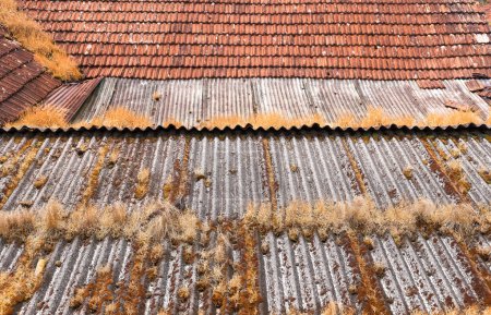 Téléchargez les photos : View of aged roof, made with metal sheets and tiles weathered due to growth of moss and plants. - en image libre de droit