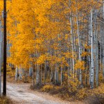 Panoramic view of scenic autumn alley in Wasatch mountain state park in Utah.