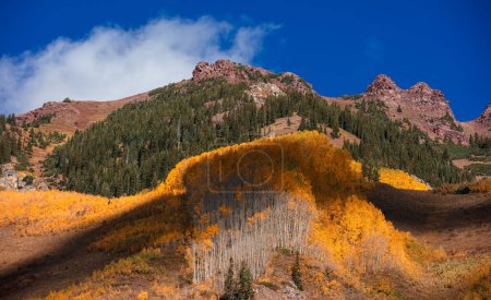 Photo for Colorful autumn trees in front of Iconic Maroon bells in Colorado - Royalty Free Image