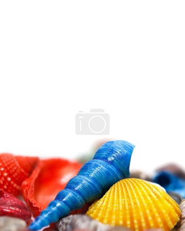 Colorful small shells with white copy space for banner use.