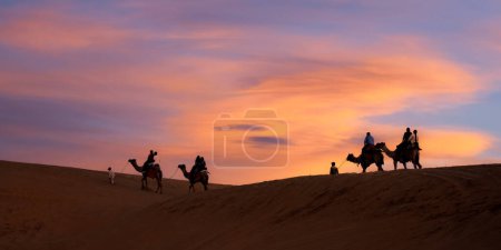 Camel safari at Sam sand dunes in Thar desert, Rajasthan, under sunset.