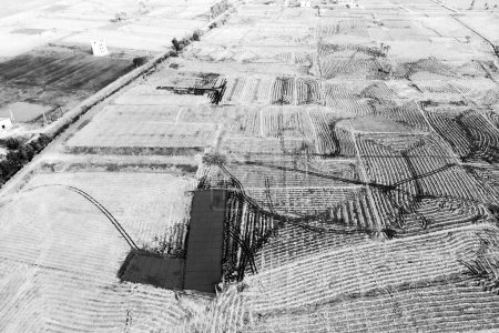 Aerial view of burnt paddy fields after the harvest in rural India monochrome image.