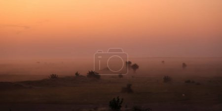 Misty Thar désert paysage sous le crépuscule situé dans le Rajasthan, Inde
