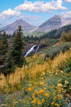 Pequeña caída de agua a lo largo del arroyo Sneffels en las montañas rocosas de San Juan Colorado, rodeado de flores silvestres