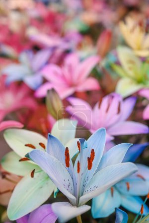 Téléchargez les photos : Bouquet de fleurs de Lys lumineux coloré, mise au point sélective. - en image libre de droit