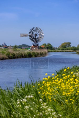 Téléchargez les photos : Historic small windmill by the canal and wildflower path in the Netherlands country side - en image libre de droit