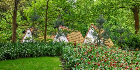 Téléchargez les photos : Trois structures à queue en bordure des jardins de Keukenhof aux Pays-Bas au printemps. - en image libre de droit